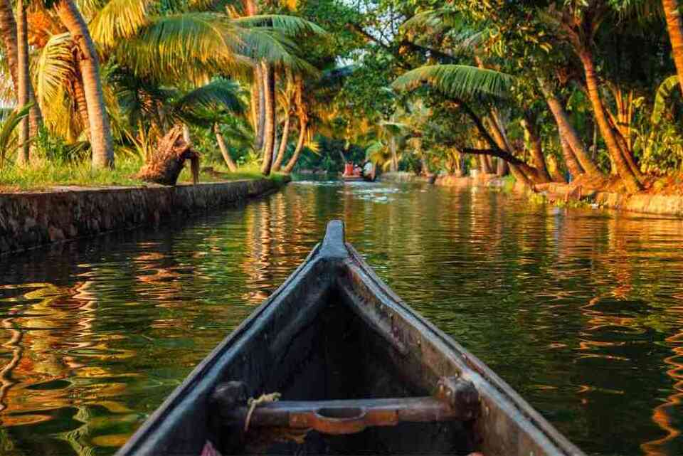 GettyImages-522478216-5ab12c4e3de4230036949cee (1) (1)